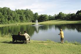 fishing in ponds
